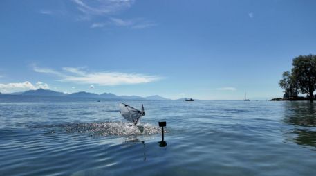 Un robot de alas batientes pasa del agua al aire en un lago natural. Fotografía facilitada por Rafael Zufferey