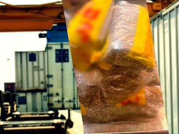 Personal aduanero detectó cinco cajas de cartón que contenían en su interior dos muñecos rellenos de semillas con características semejantes al vegetal. EL INFORMADOR / ARCHIVO