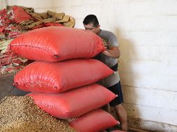 Según datos de la ANAM el país importó 19,93 millones de toneladas de granos y oleaginosas durante los primeros cinco meses de 2026. EFE / ARCHIVO