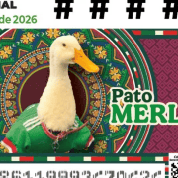 El pato Merlín se viralizó en redes sociales luego de ser grabado portando su camiseta de la Selección cuando acompañaba a sus dueños a vender agua en las calles. SUN / ESPECIAL