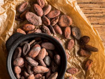 El cacao es uno de los ingredientes más representativos de la gastronomía / Foto: Cortesía