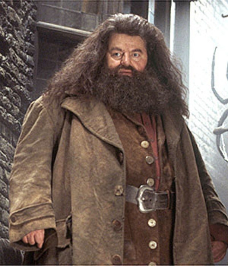&nbsp;ESPECIAL