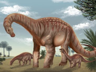 Los científicos consideran que este descubrimiento abre nuevas líneas de investigación para comprender cómo evolucionaron los animales prehistóricos. EFE / FACULTAD DE CIENCIAS UDELAR