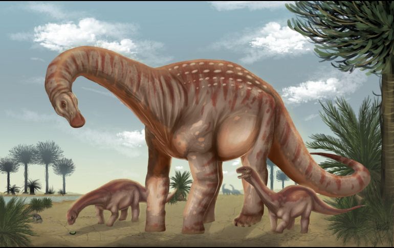Los científicos consideran que este descubrimiento abre nuevas líneas de investigación para comprender cómo evolucionaron los animales prehistóricos. EFE / FACULTAD DE CIENCIAS UDELAR