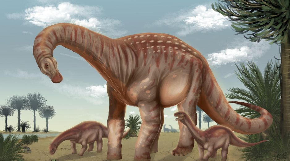 Los científicos consideran que este descubrimiento abre nuevas líneas de investigación para comprender cómo evolucionaron los animales prehistóricos. EFE / FACULTAD DE CIENCIAS UDELAR