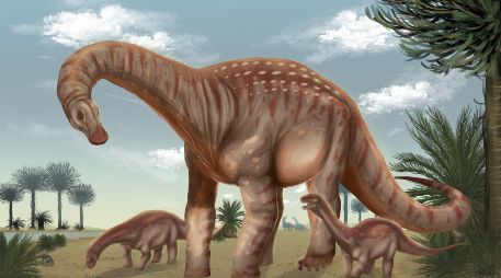 Los científicos consideran que este descubrimiento abre nuevas líneas de investigación para comprender cómo evolucionaron los animales prehistóricos. EFE / FACULTAD DE CIENCIAS UDELAR