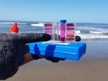 La razón detrás del dictamen de las playas no aptas está relacionada con la presencia de altas concentraciones de bacterias enterococos en el agua de mar. ESPECIAL / Cofepris