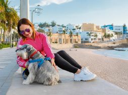 Uno de los principales atractivos para convivir con los perros es el Malecón de Mazatlán. ESPECIAL