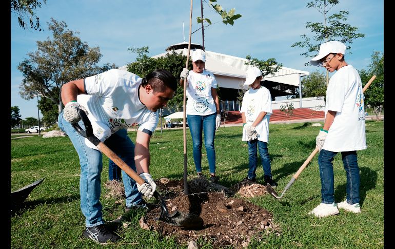 Con la siembra, la cobertura foliar del Parque Luis Quintanar pasa a 33.5 por ciento de su área total. ESPECIAL