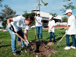 Con la siembra, la cobertura foliar del Parque Luis Quintanar pasa a 33.5 por ciento de su área total. ESPECIAL