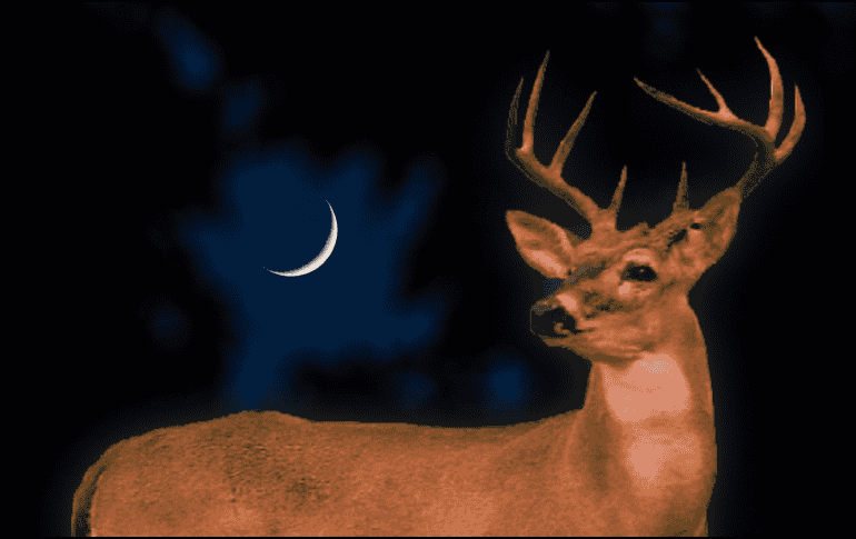 El nombre Luna de Ciervo proviene de las tradiciones de diversos pueblos indígenas de Norteamérica, quienes utilizaban las lunas llenas para identificar los cambios estacionales. EFE/ARCHIVO