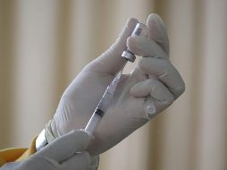 México ha registrado 24.998 casos probables de dengue en 2026, con 2.421 confirmados hasta la semana epidemiológica 22. Unsplash