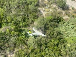 El aparato siniestrado es una avioneta tipo Cessna de la empresa Aerus, con matrícula XAEFD. ESPECIAL/PCNL