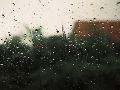 Descubre las mejores estrategias y recomendaciones de las autoridades para mantenerte seguro durante la actual temporada de lluvias y evitar riesgos innecesarios. Pexels
