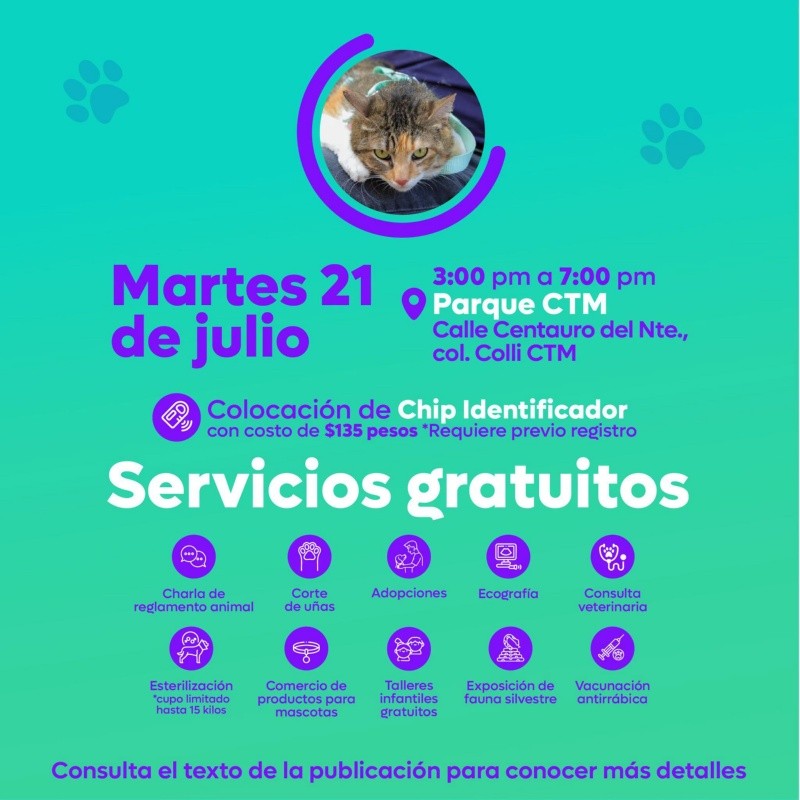 CORTESÍA/ Protección Animal Zapopan. 