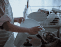 Aunque desinfectarlas ayuda a reducir la cantidad de bacterias, cabe mencionar que los expertos recomiendan reemplazarlas periódicamente. ESPECIAL/Canva