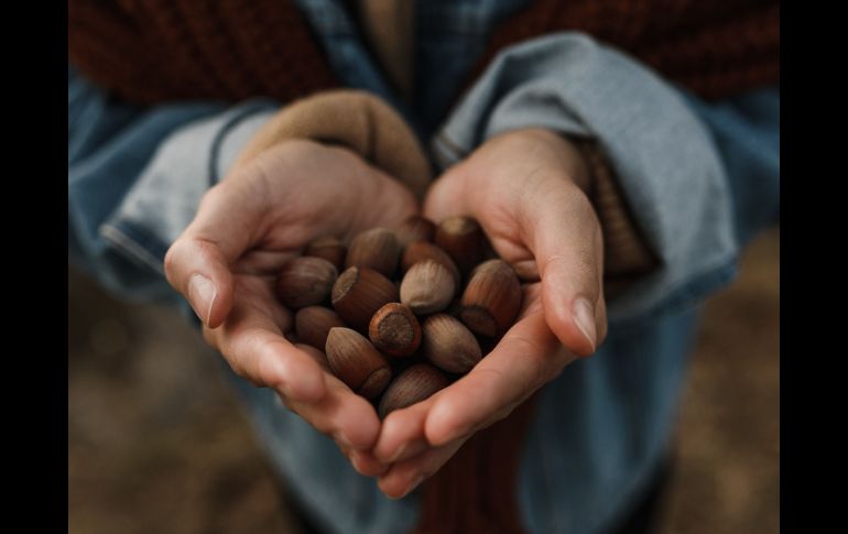 Aunque no lo creas, las avellanas tienen muchísimos beneficios si las consumes de manera responsable. ESPECIAL/PEXELS