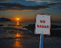 El problema central de la playa que encendió las alarmas radica en la alta concentración de enterococos, un grupo de bacterias que habitan en el tracto intestinal humano y animal. ESPECIAL / CANVA
