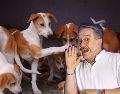 Pedro Sola aseguró que la experiencia fue emotiva y reconoció el impacto que tuvo conocer las historias de los animales rescatados. PEXELS/SUN/ARCHIVO/ESPECIAL