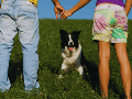 Los perros han pasado de ser considerados simples animales de compañía a ocupar el lugar de verdaderos "perrhijos", recibiendo un nivel de atención y cuidado que antes se reservaba a los humanos. ESPECIAL / CANVA