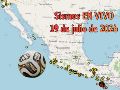 EN VIVO | Sismos en México | Domingo 19 de julio. ESPECIAL / SSN