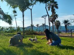 Otros espacios abiertos ideales para descubrir en compañía de tu lomito son el Parque Central de Mazatlán, que permite el acceso con correa para una recreación segura. CORTESÍA/Turismo Mazatlán