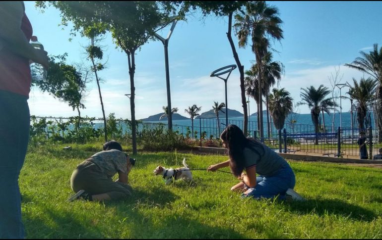 Otros espacios abiertos ideales para descubrir en compañía de tu lomito son el Parque Central de Mazatlán, que permite el acceso con correa para una recreación segura. CORTESÍA/Turismo Mazatlán