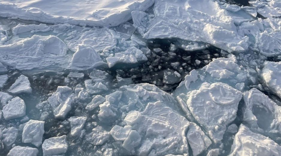 Los investigadores habían visto en análisis previos que el ritmo de pérdida del hielo del Ártico se había atenuado durante los inviernos a principios de la década de 2020. EFE / UNIVERSIDAD DE SOUTHAMPTON.