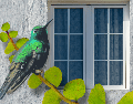 Crear un jardín para colibríes no solo embellece el hogar, sino que contribuye a la conservación de estas aves y de los ecosistemas locales. ESPECIAL/Canva