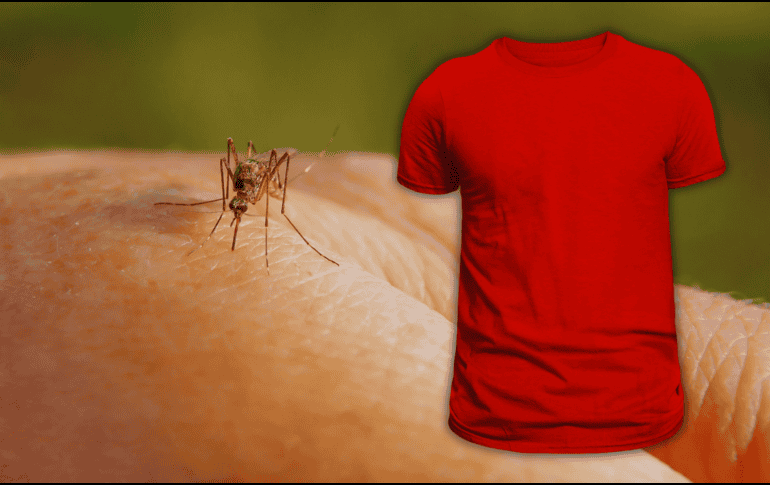 La visión de los mosquitos se activa de manera muy específica tras detectar nuestra presencia y hay colores que les resultan más atractivos. ESPECIAL / CANVA