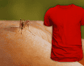 La visión de los mosquitos se activa de manera muy específica tras detectar nuestra presencia y hay colores que les resultan más atractivos. ESPECIAL / CANVA