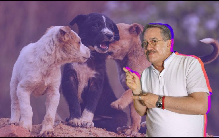 El conductor reconoció que sus declaraciones generaron un impacto negativo y aseguró que ahora busca promover el respeto hacia los animales. CANVA/SUN/ARCHIVO/ESPECIAL