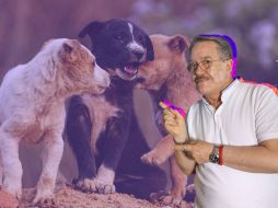 El conductor reconoció que sus declaraciones generaron un impacto negativo y aseguró que ahora busca promover el respeto hacia los animales. CANVA/SUN/ARCHIVO/ESPECIAL