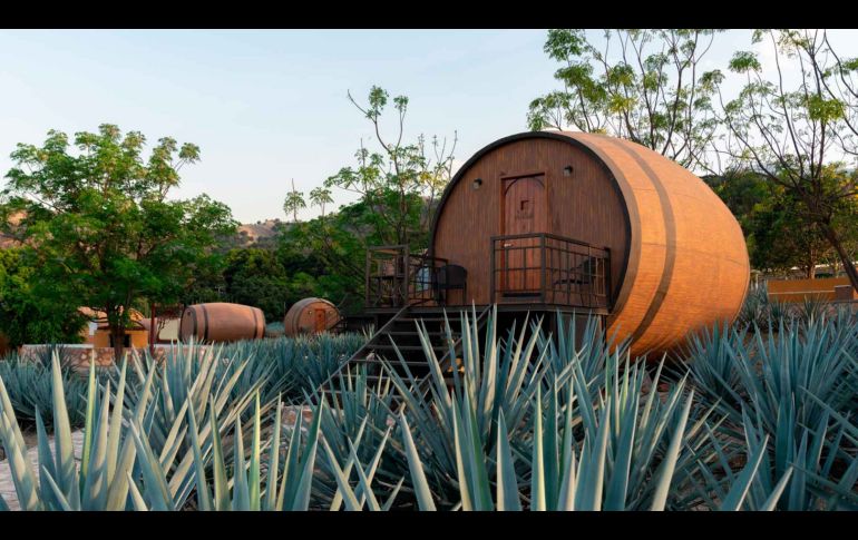 El único hotel en el mundo con habitaciones en forma de barricas gigantes / Foto: Cortesía