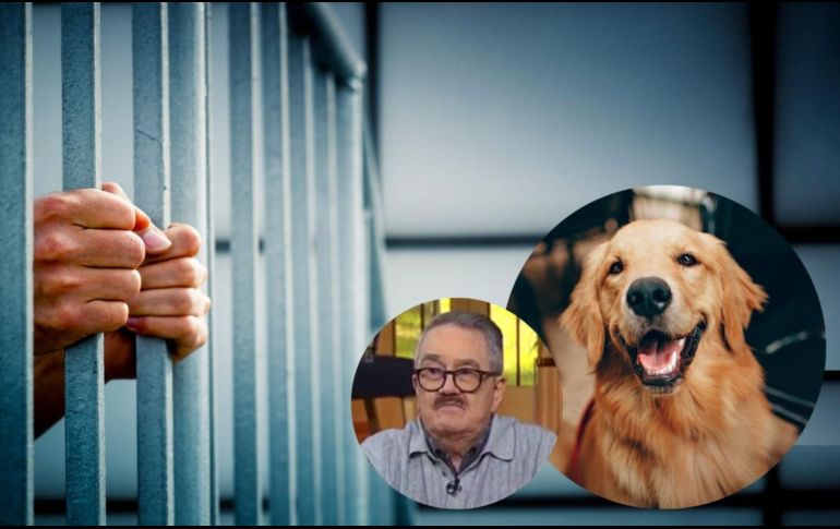 La propuesta contempla multas económicas y penas de cárcel para quienes induzcan a otras personas a cometer actos de crueldad animal. PEXELS/ESPECIAL