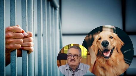 La propuesta contempla multas económicas y penas de cárcel para quienes induzcan a otras personas a cometer actos de crueldad animal. PEXELS/ESPECIAL