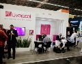 Aprovecha la Gran Barata Liverpool 2026 para renovar tu smartphone. EL INFORMADOR/ARCHIVO