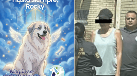 En las próximas horas se llevará a cabo la audiencia inicial de Liliana “N” por el fallecimiento del perrito Rocky. FACEBOOK / DIGNIDAD ANIMAL OFICIAL
