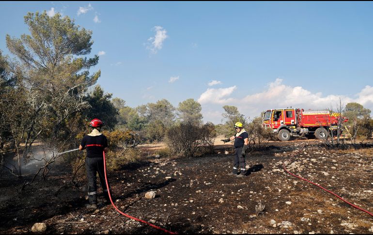 Los fuegos se ven favorecidos por las altas temperaturas de los dos últimos meses (tres olas de calor, una de ellas, la de finales de junio, inédita por su intensidad) y la sequedad de los suelos. EFE/S. NOGIER.