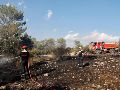 Los fuegos se ven favorecidos por las altas temperaturas de los dos últimos meses (tres olas de calor, una de ellas, la de finales de junio, inédita por su intensidad) y la sequedad de los suelos. EFE/S. NOGIER.