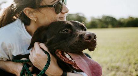 Acciones sencillas como hablarle a una mascota, mimarla o sostener contacto visual constante generan un impacto medible en el equilibrio psicológico de las personas. UNSPLASH / W. Austin Ellis
