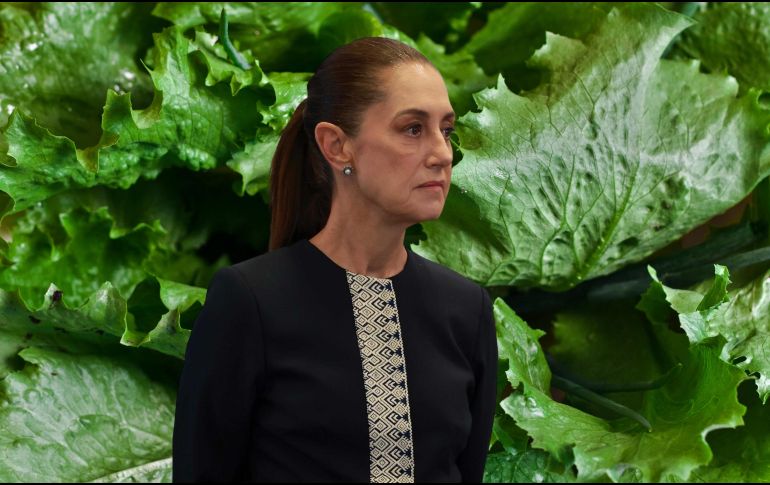 Claudia Sheinbaum dice que se dará la información a través de la Ssa porque se está revisando 