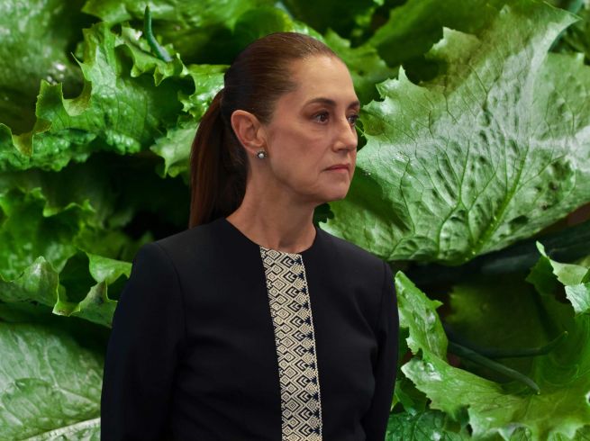 Claudia Sheinbaum dice que se dará la información a través de la Ssa porque se está revisando 