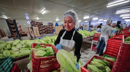 El Servicio Nacional de Sanidad, Inocuidad y Calidad Agroalimentaria (Senasica) ha tenido reducciones en su presupuesto que, considera, son alarmantes. SUN/ARCHIVO