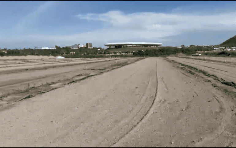 Este espacio permitirá producir, conservar y disponer de pasto para responder con mayor rapidez ante cualquier eventualidad relacionada con las superficies de juego. EL INFORMADOR / P. GALLARDO