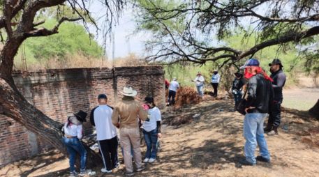 La activista Ceci Flores aseguró que el sitio fue localizado en Ayutla y pidió apoyo institucional para realizar una jornada de búsqueda. EL INFORMADOR/ARCHIVO
