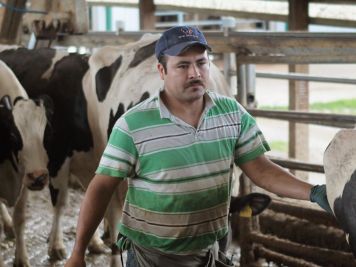 Repunta gusano barrenador en Jalisco