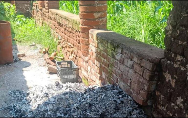 La Fiscalía de Jalisco señaló que los indicios localizados en Ayutla corresponden preliminarmente a restos animales calcinados. ESPECIAL/FISCALÍA DE JALISCO