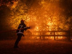 Este incendio acumula 42 mil hectáreas quemadas y ha obligado a realizar 220 mil desalojos. EFE/EPA/D. Rembert