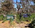 Los uniformados detectaron en una zona conocida como "El Llano", un terreno en donde observaron plantas con las características de la marihuana. ESPECIAL
